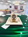 Rolex Daytona 40 16523 ZENITH  Stainless steel & Gold Black Dial PreOwned 1997-1998 - Diamonds East Intl.