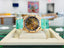 Audemars Piguet Royal Oak 37 15467OR.OO.1256OR.02  Double Balance Wheel Openworked Rose Gold Purple Inner Bezel  Box and Papers Unworn - Diamonds East Intl.