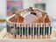 Rolex Day-Date 40 228235 Rose Gold  Factory Eisenkiesel Baguette Diamond Dial  Box and Papers Unworn - Diamonds East Intl.
