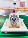 Rolex Daytona 116509 White Gold Cosmograph Silver Panda Dial Box and Papers PreOwned - Diamonds East Intl.