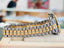 Rolex Lady-Datejust 69179 Tridor President FACTORY MOP DIAL 26 White gold, Yellow Gold, Rose Gold Custom Diamond Bezel MINT - Diamonds East Intl.