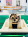 Rolex Daytona Rose Gold Black Ceramic Oyster flex Watch 116515 LN Box And Papers - Diamonds East Intl.