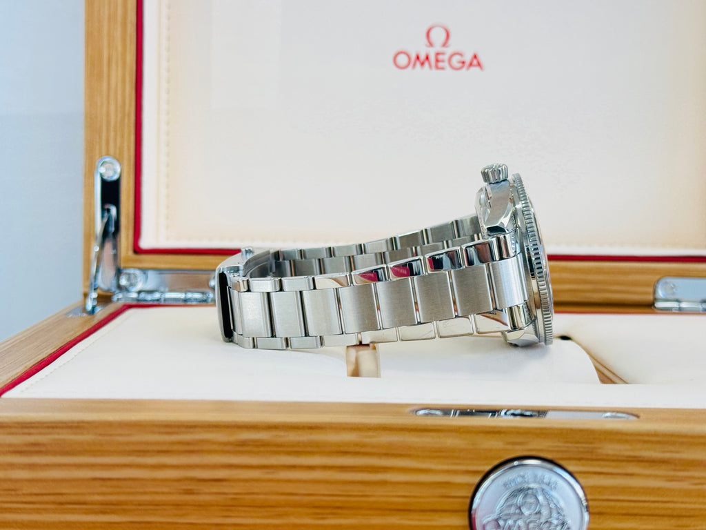Omega Seamaster 300  234.30.41.21.01.001 Co-Axial Master Chronometer  Box and Papers PreOwned - Diamonds East Intl.
