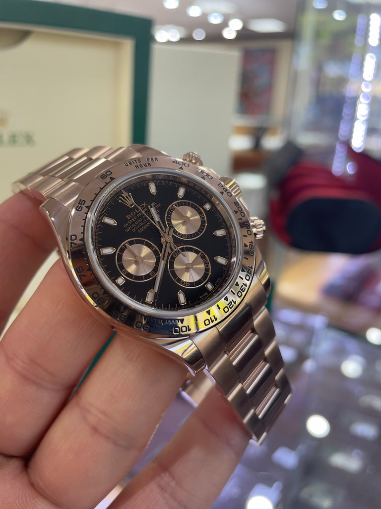 Rolex daytona two tone rose gold Clearance