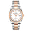 Rolex Datejust 36 mm Stainless Steel and Rose Gold 126231 White Roman Oyster Box and Papers