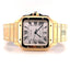 Cartier Santos WGSA0029 Large 18k Yellow Gold Unworn - Diamonds East Intl.